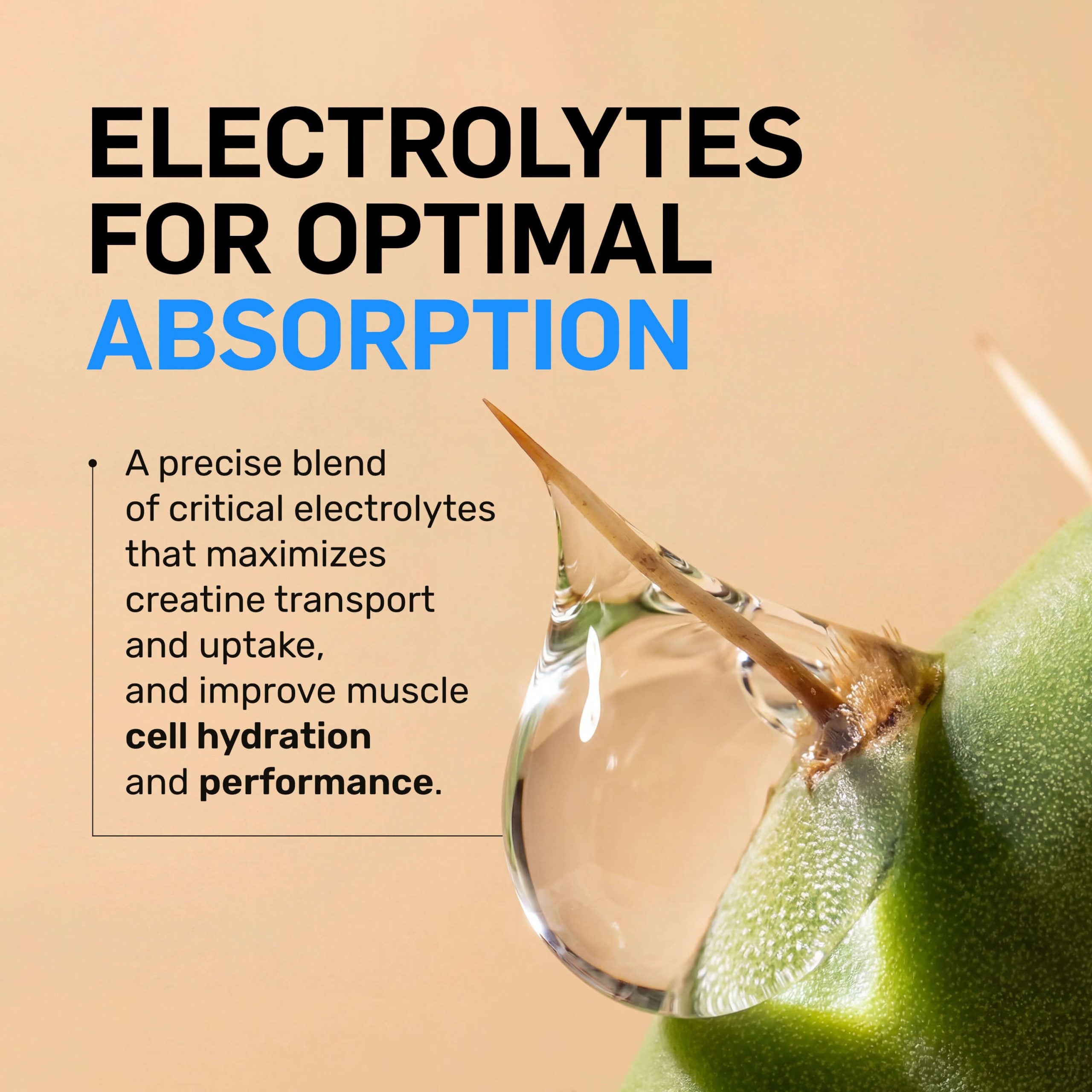 Creatine HCl Powder - Unflavored | Clean Creatine For Active Routines