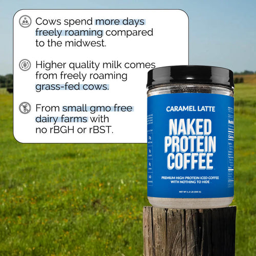 Caramel Latte Protein Iced Coffee - Caramel Latte | Everyday Fitness Nutrition