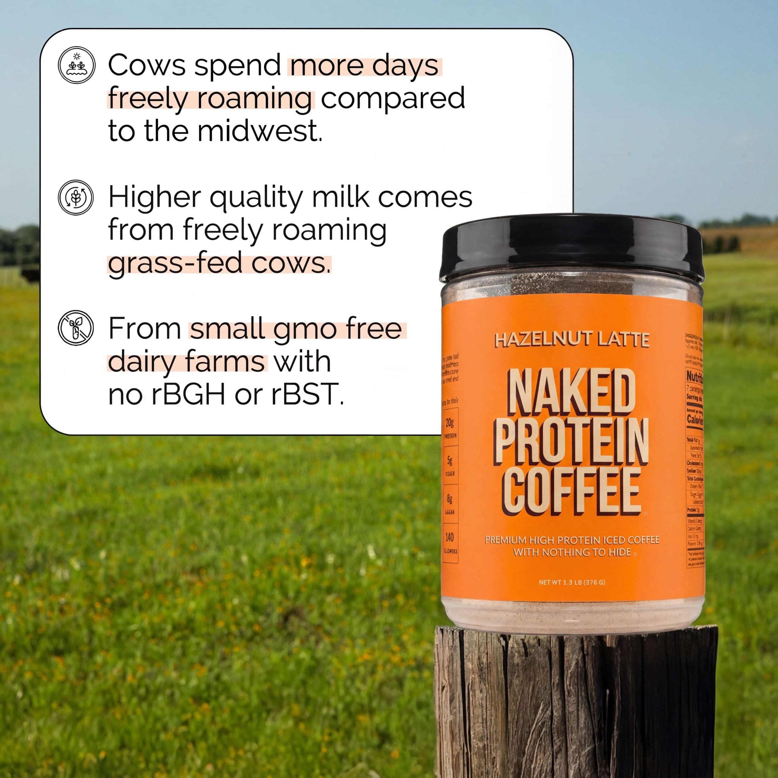 Hazelnut Latte Protein Iced Coffee - Hazelnut Latte | Everyday Fitness Nutrition