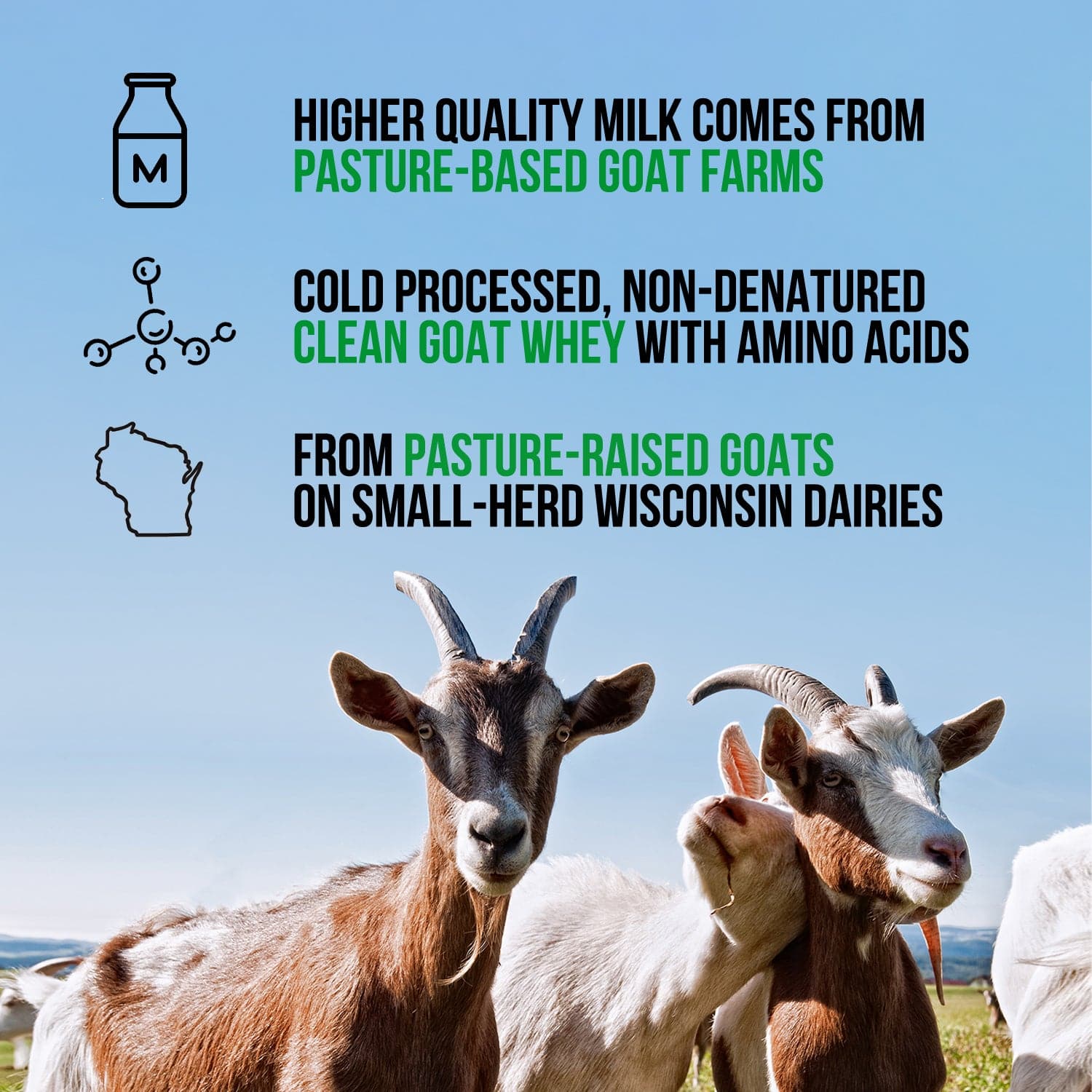 Chocolate Goat Whey Protein Powder - Chocolate | Minimal Ingredient Fitness Fuel