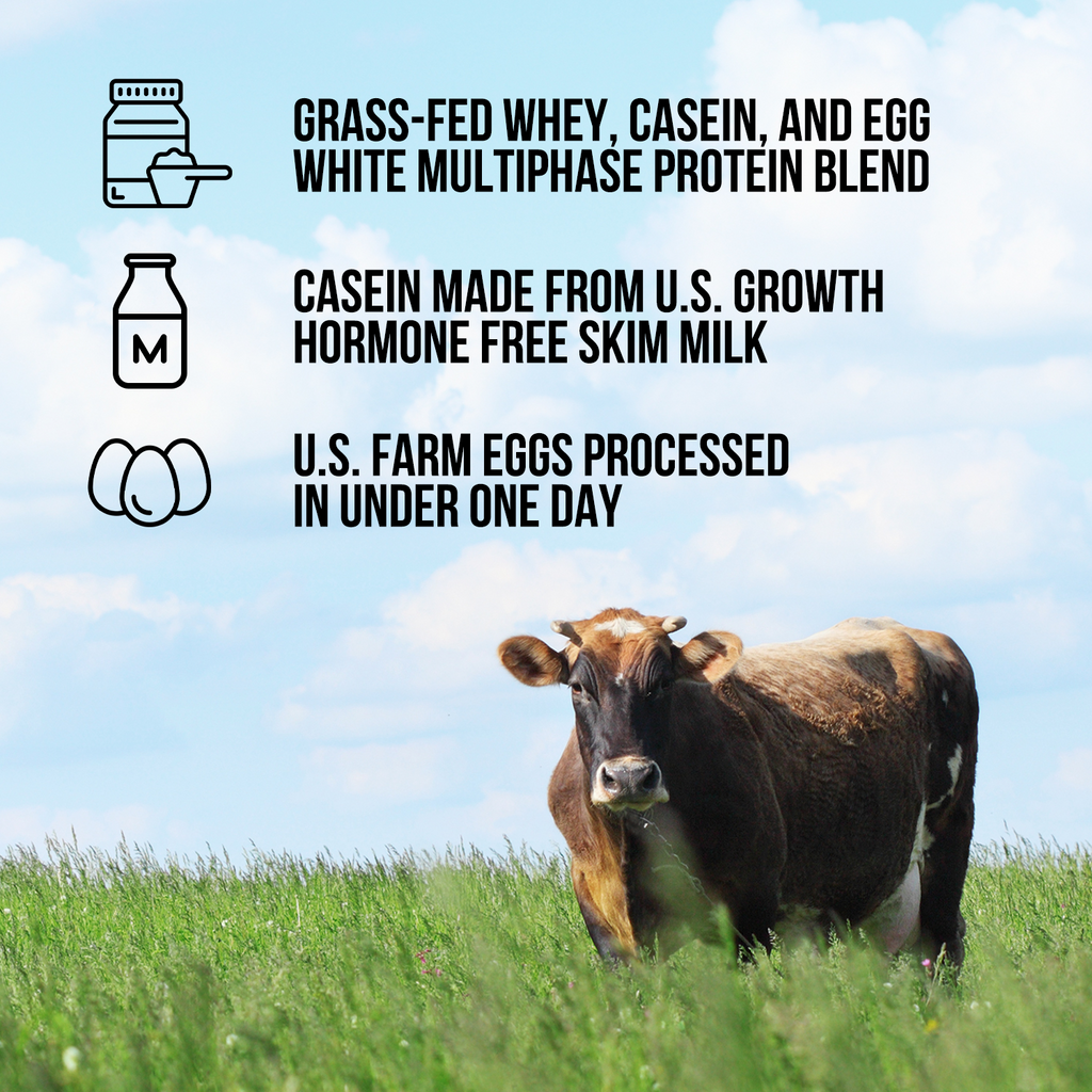 Protein Powder Blend - 3LB Egg Whey & Casein Protein Blend - 3LB | Minimal Ingredient Fitness Fuel