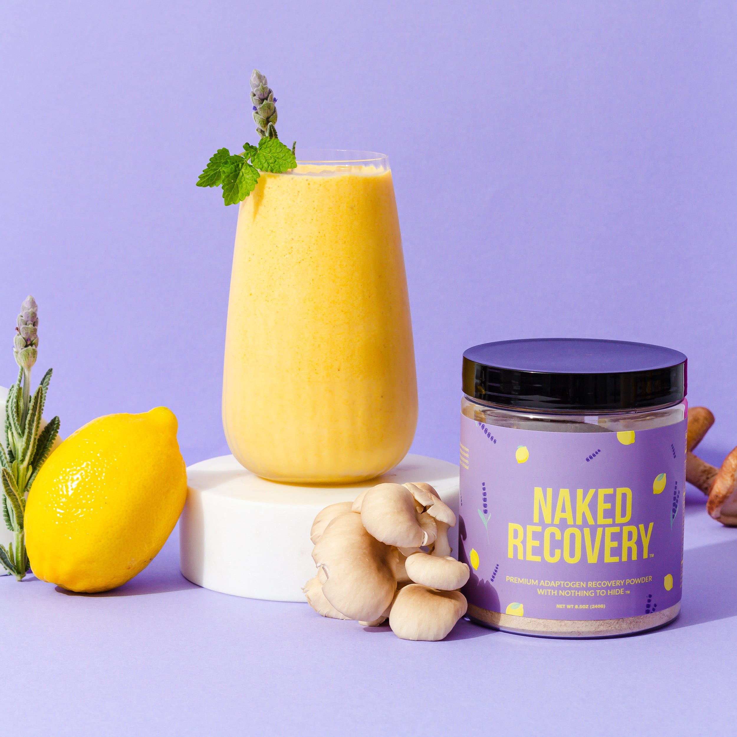 Recovery Mushroom Supplement | Everyday Fitness Nutrition
