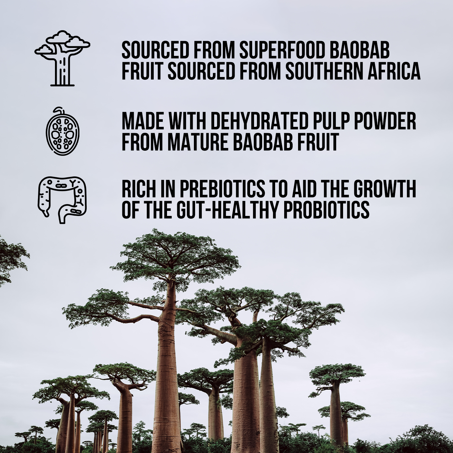 Organic Fiber Supplement | Easy Mixing Fiber Supplement