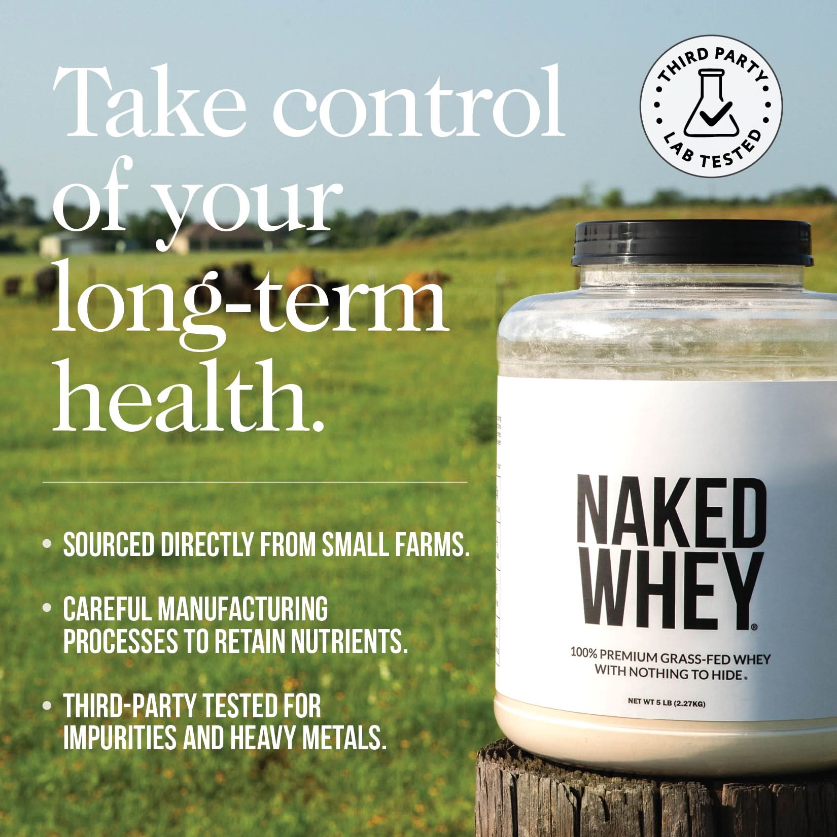 Vanilla Whey Protein Powder - Vanilla | Minimal Ingredient Fitness Fuel