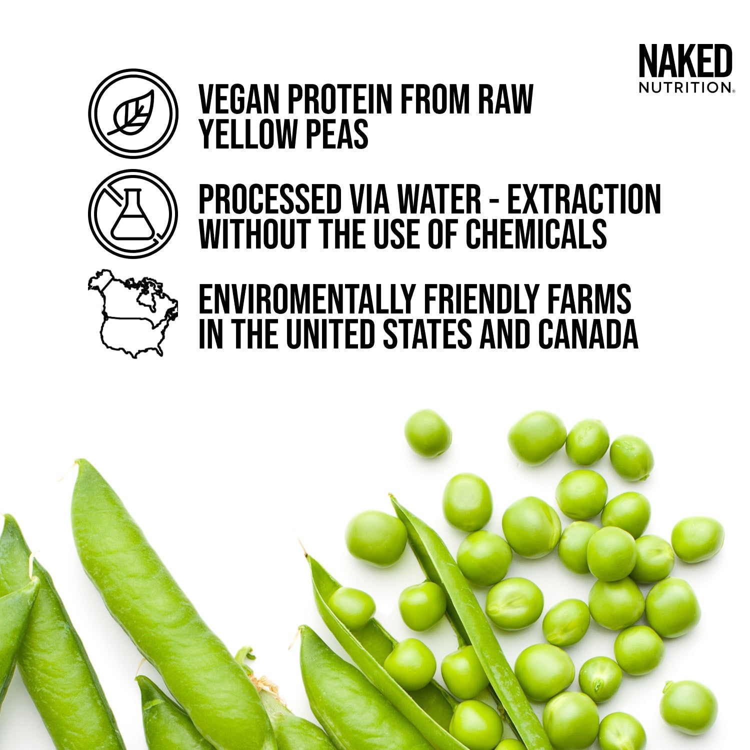 Pea Protein Powder - Unflavored | Pure Plant Powered Workout Fuel